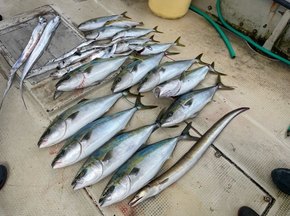 Screenshot_20231003_072747