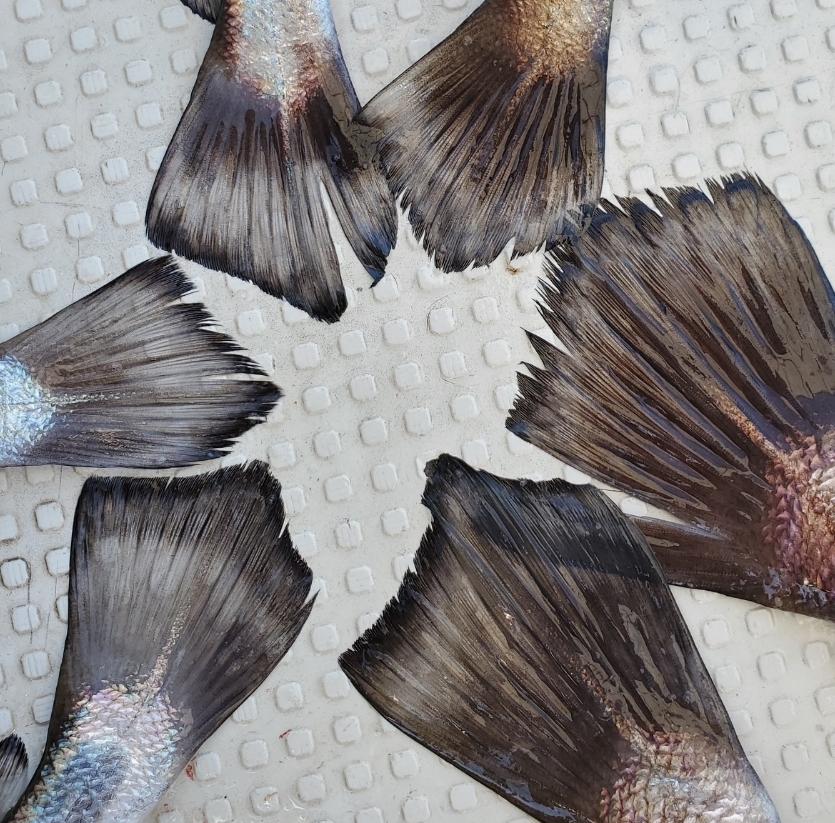 Screenshot_20231218_071655