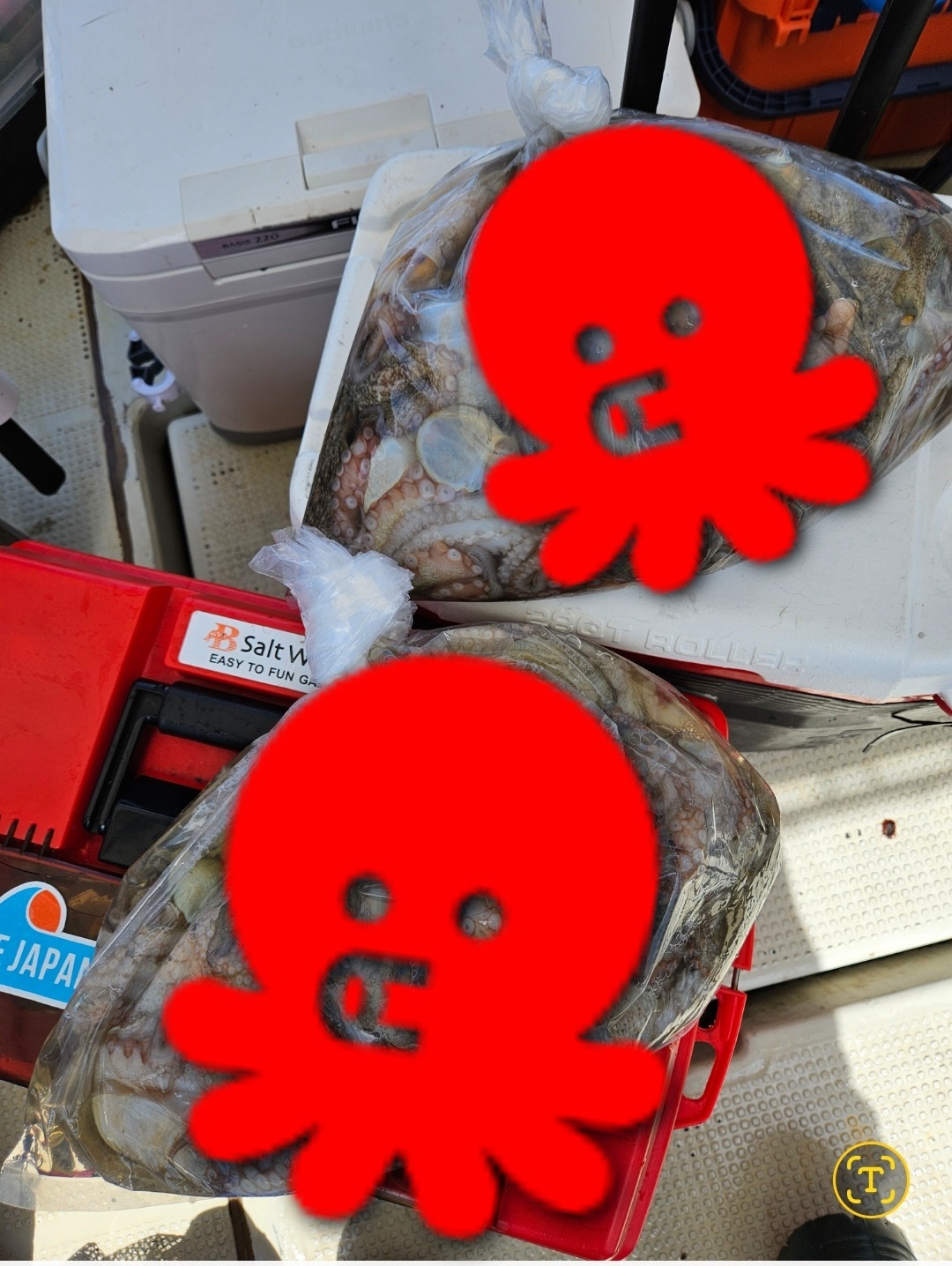 Screenshot_20240830_061420_Gallery