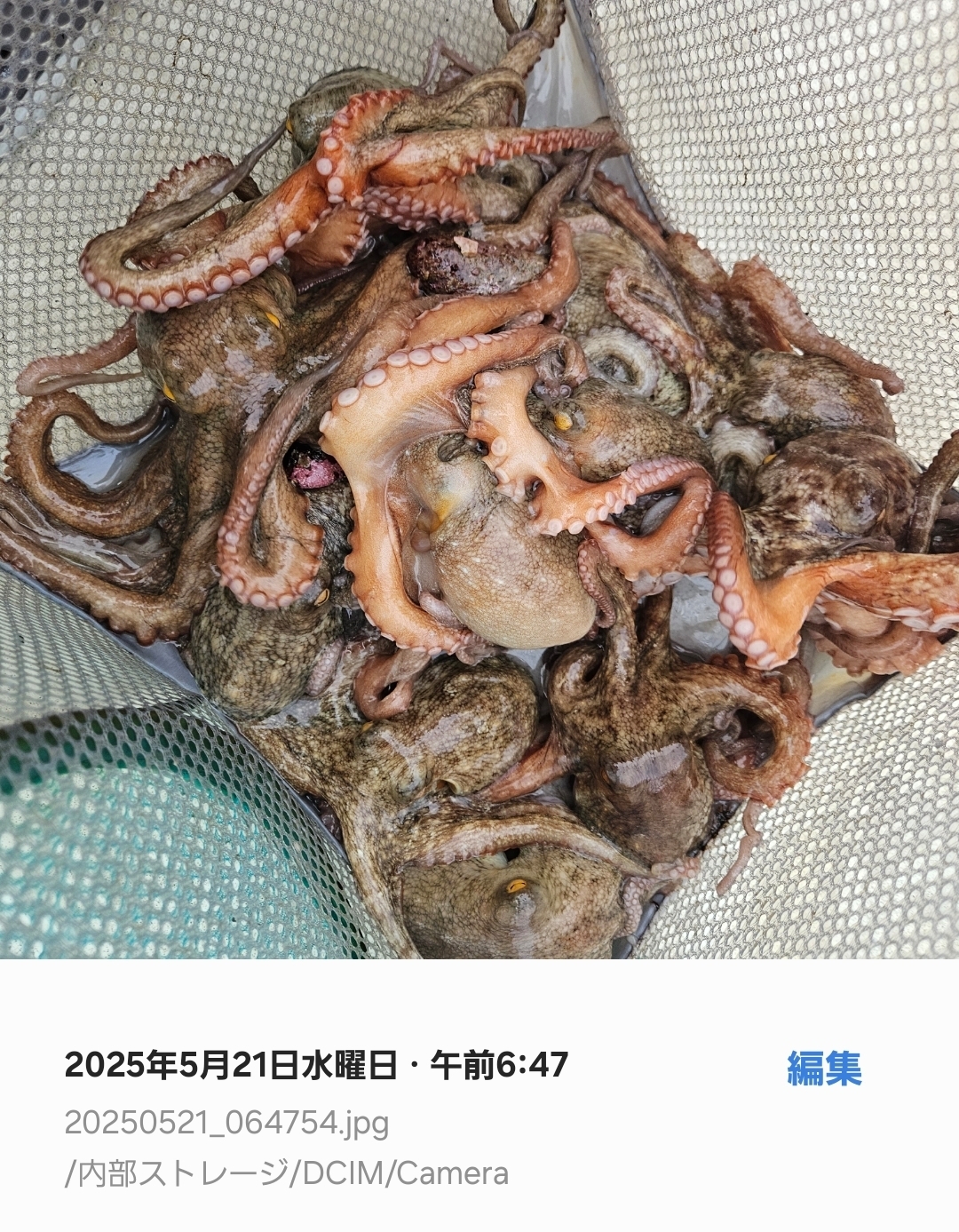 Screenshot_20250521_072700_Gallery