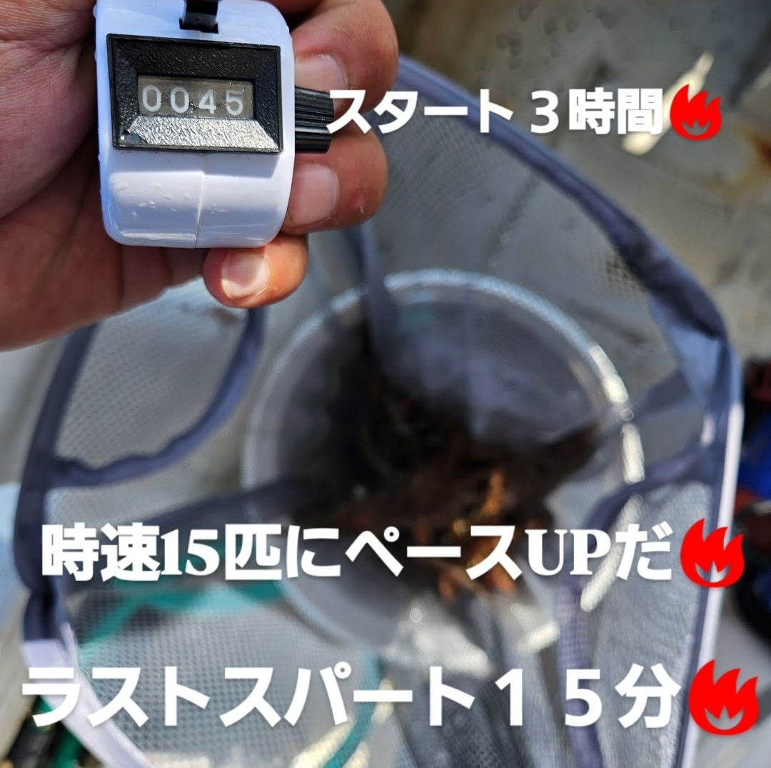 Screenshot_20250606_174213_Instagram