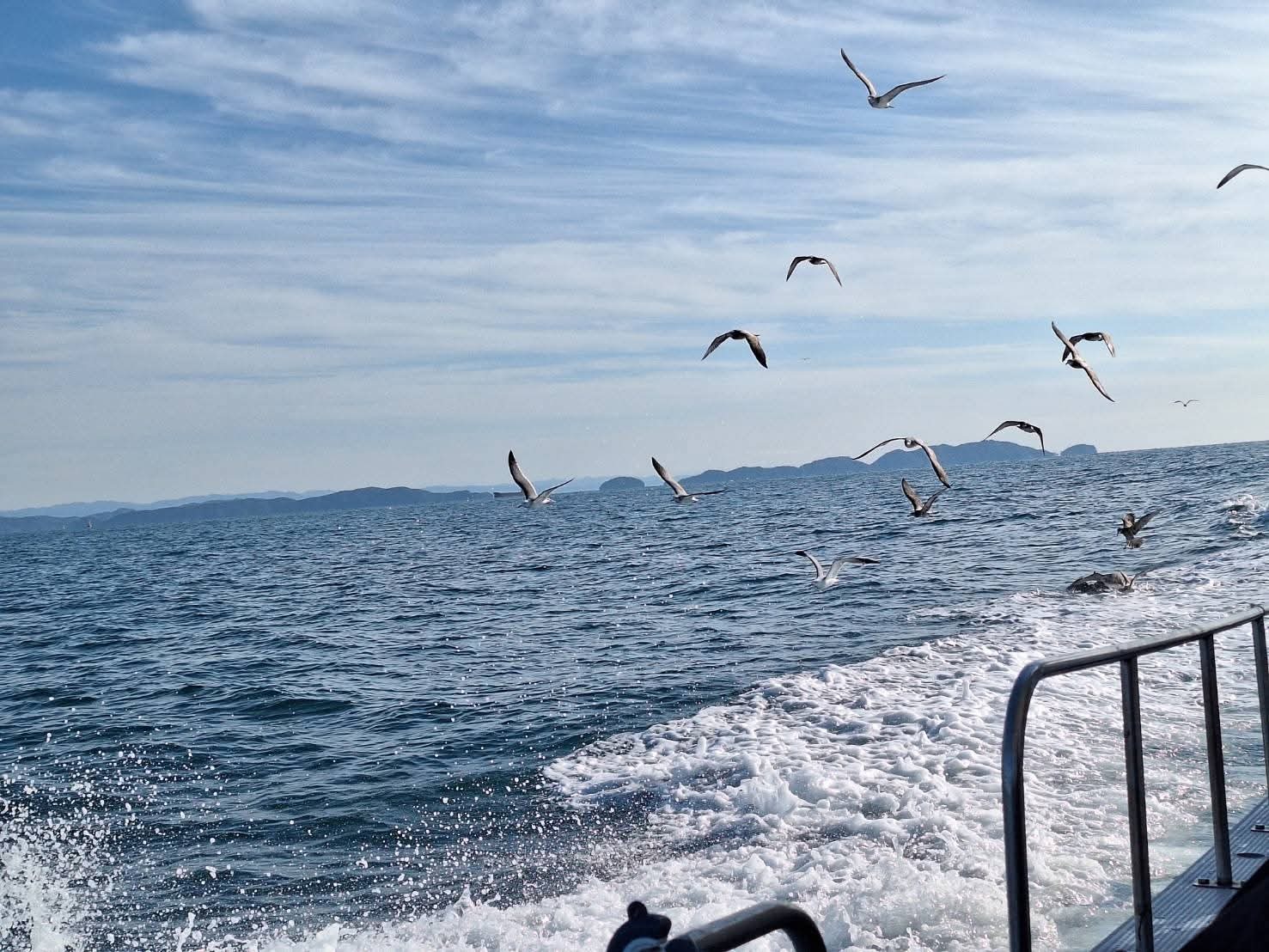 FB_IMG_1765871622057