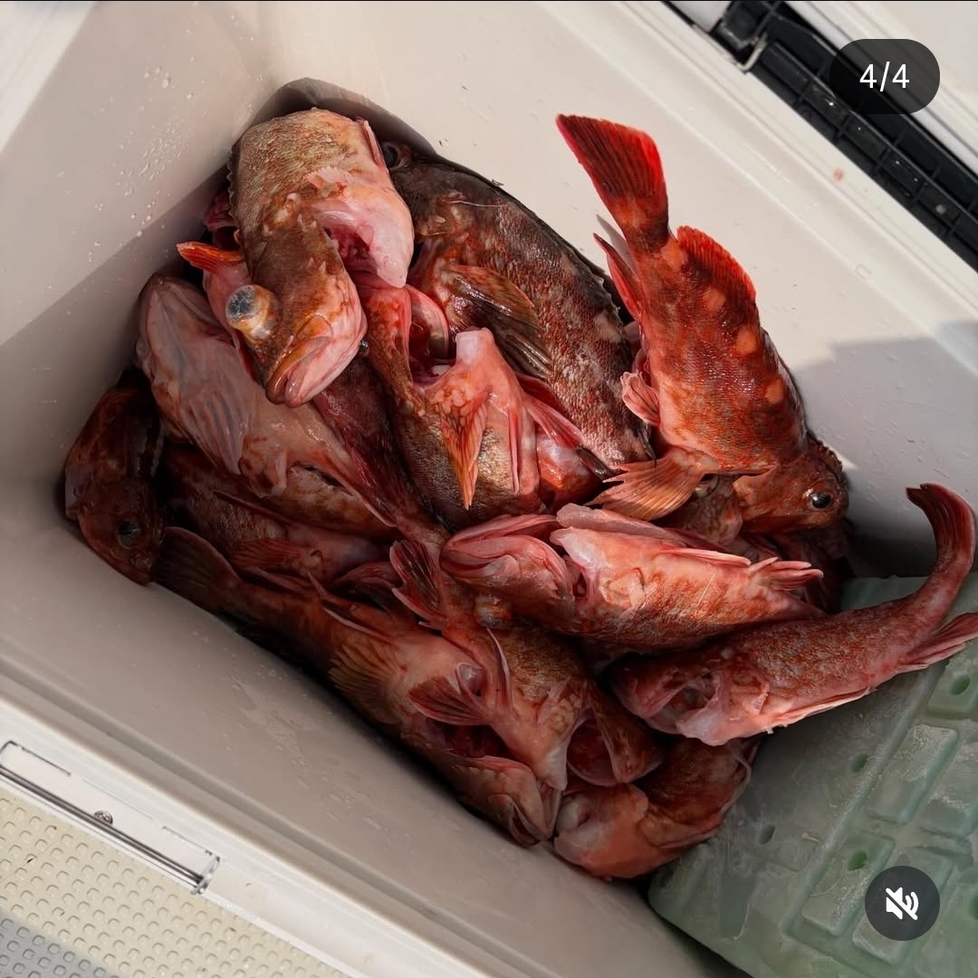 Screenshot_20260128_144023_Instagram