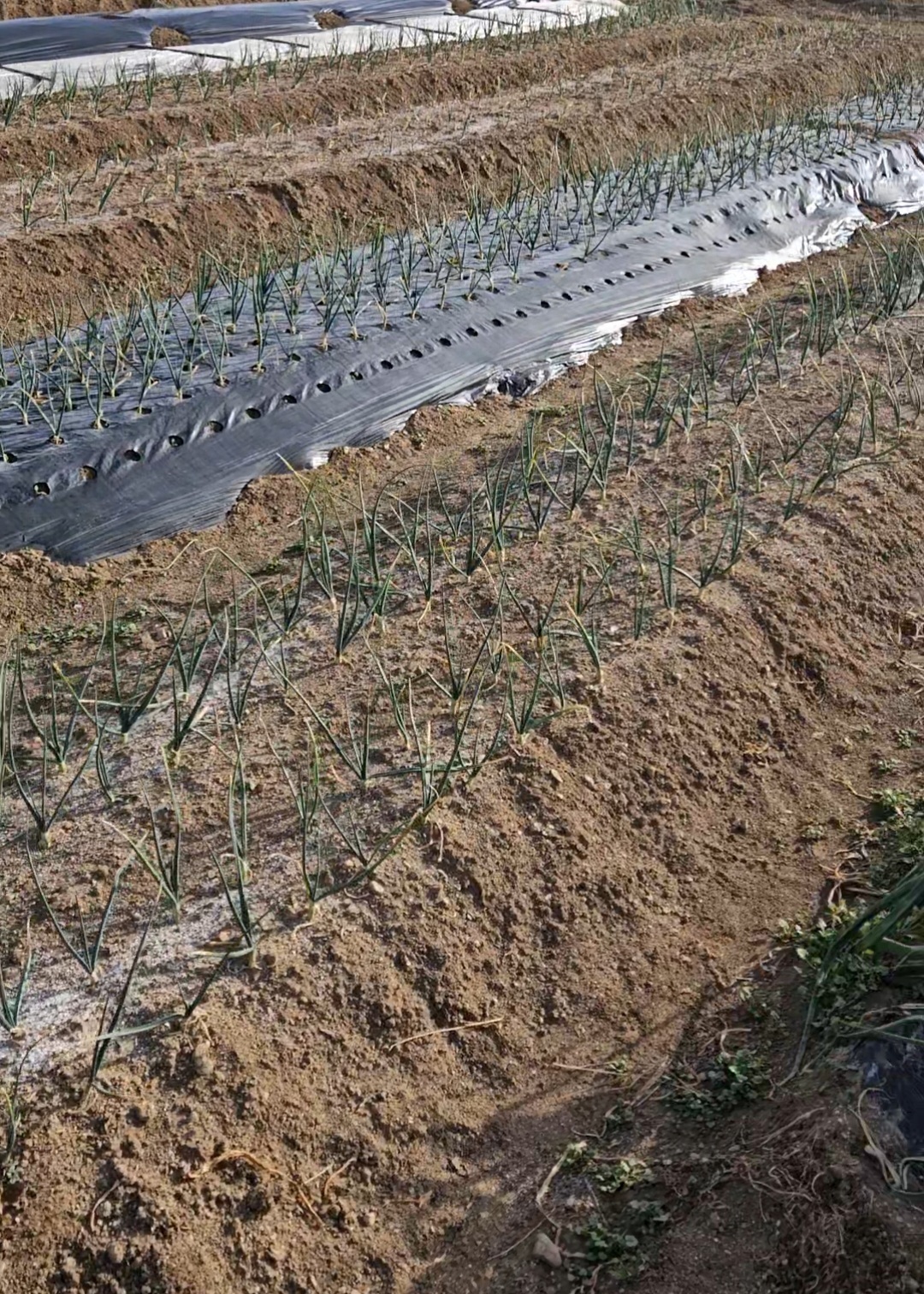 Screenshot_20260226_171722_Gallery